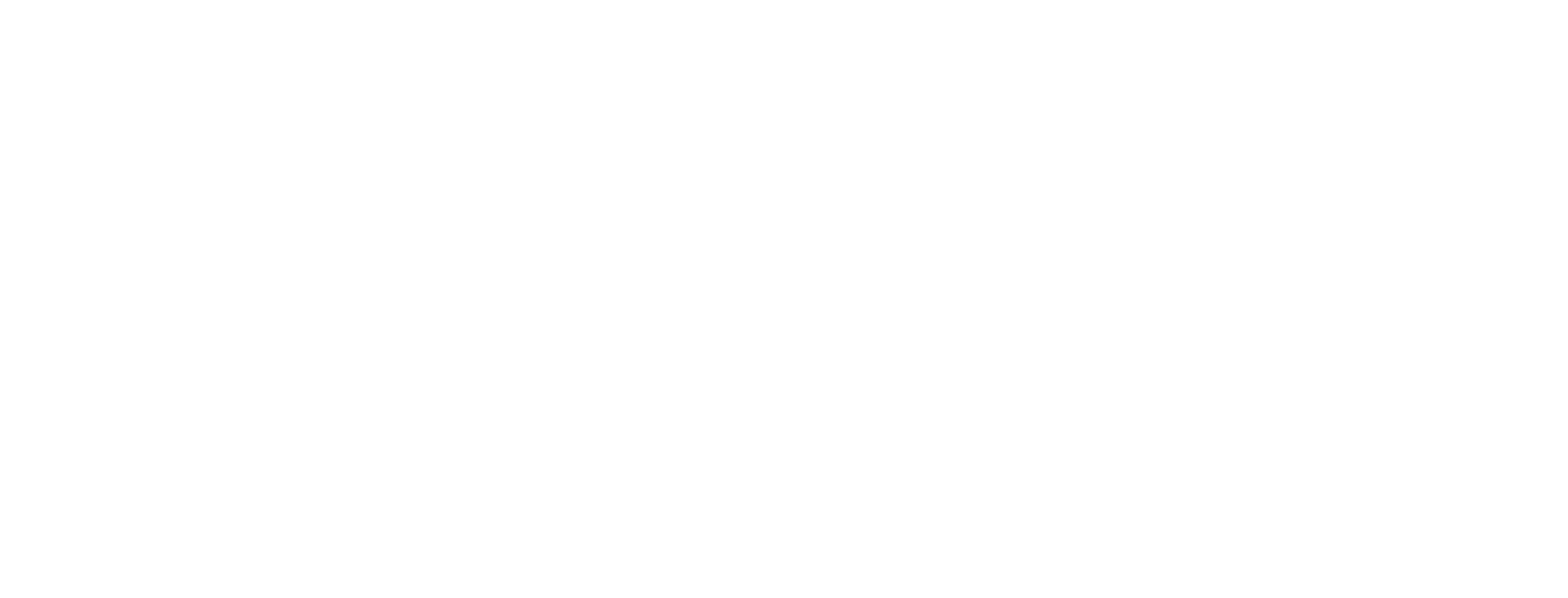 Nimble Digital logo